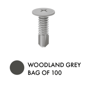 XPS SCREWS - Bag of 100 - G