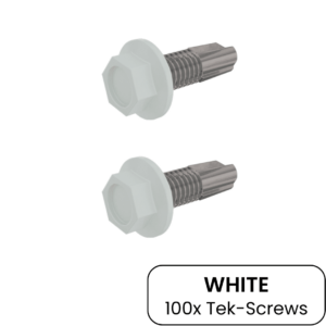 FastFixings TekScrews | 12Gx20 White 100Pack